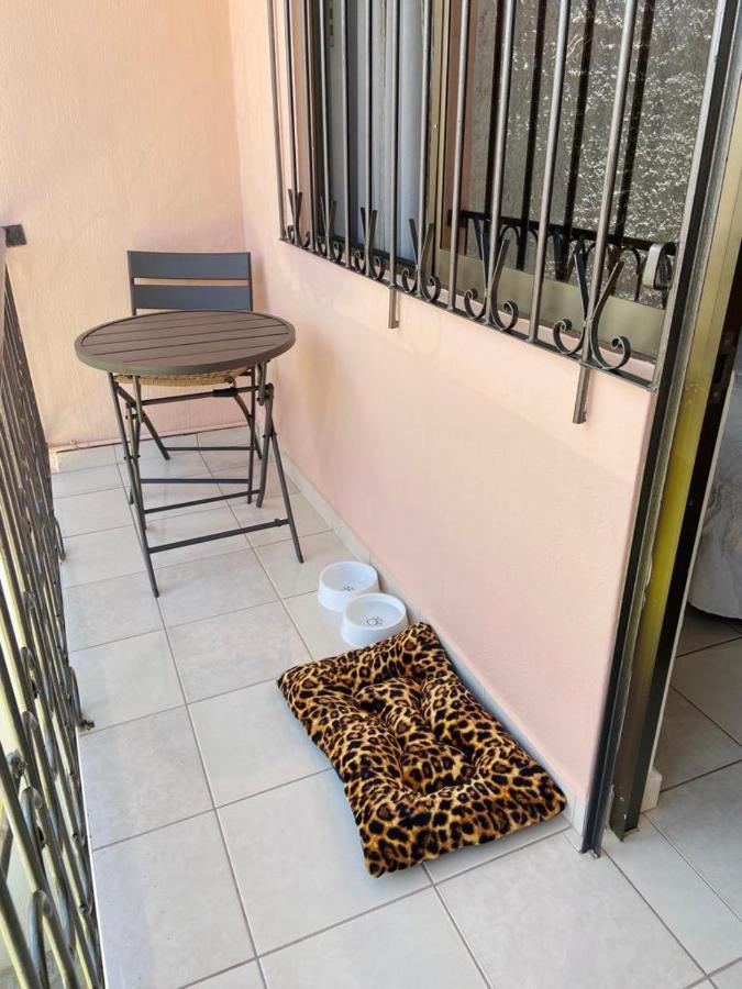 فيلا Casa Margarita Oaxaca المظهر الخارجي الصورة